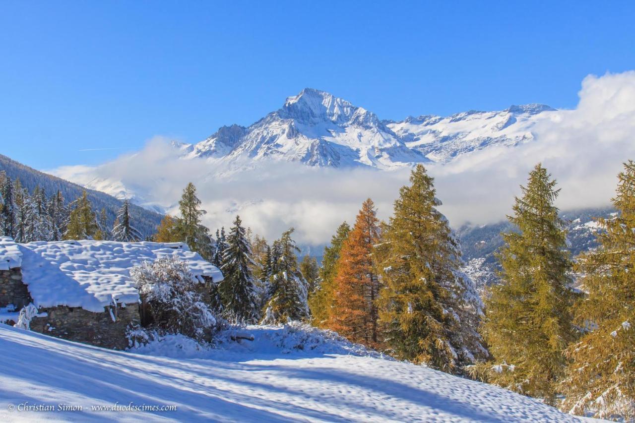 Les Balcons Proche Parc National Vanoise Appartements 2 Pieces 6 Pers Cabine Termignon Exterior foto